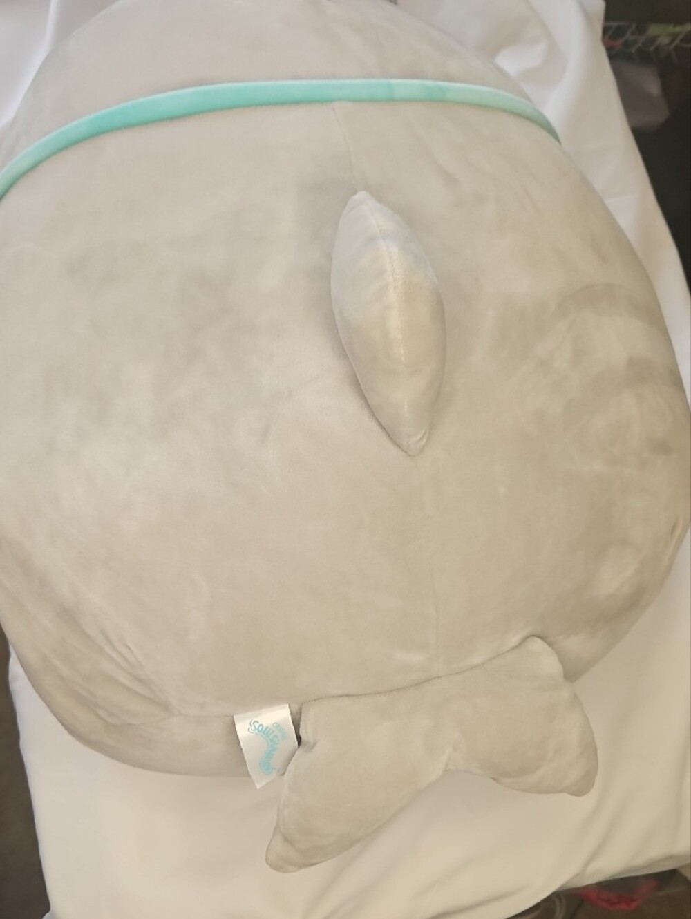 Squishmallow 'Gordon' Shark with Teal Trim NWT - Picture 6 of 7